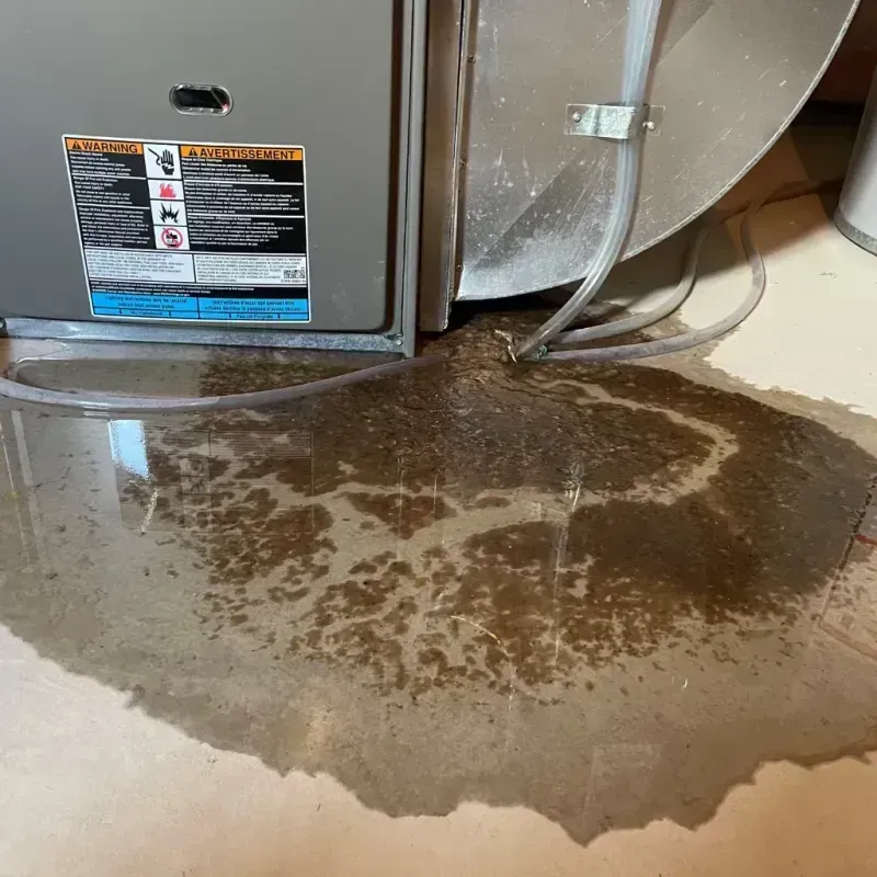 Appliance Leak Cleanup in Greenville, MS